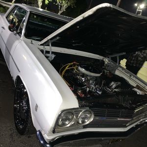 Meet your Posher, Tommy